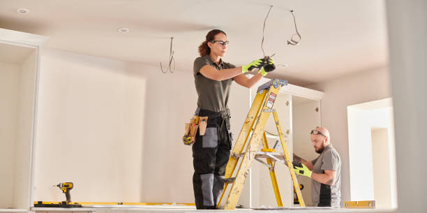 Best Electric Panel Repair  in Osceola, MO